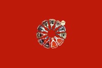 安顺普定回收红酒
